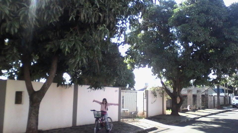 Bed and Breakfast Aconchego Lar Cama E Cafe Foz do Iguaçu Zewnętrze zdjęcie